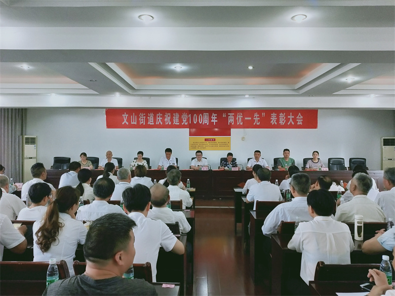 集團支部榮獲2021年度兩優(yōu)一先表彰